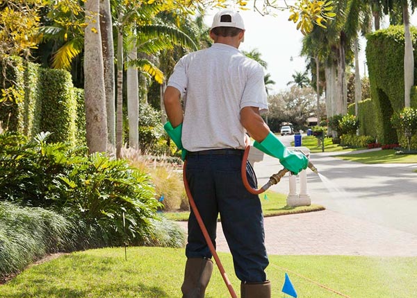 About George West TX Pest Control